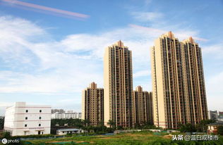 住宅開發占比創五年新高，房地產市場結構失衡引關注